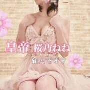 ヒメ日記 2026/04/05 11:22 投稿 桜乃ねね コウテイ