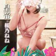ヒメ日記 2026/04/07 10:46 投稿 桜乃ねね コウテイ