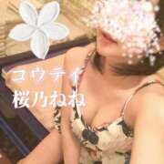 ヒメ日記 2026/04/07 11:35 投稿 桜乃ねね コウテイ