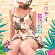 ヒメ日記 2026/04/07 20:53 投稿 桜乃ねね コウテイ