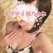 ヒメ日記 2026/04/07 23:24 投稿 桜乃ねね コウテイ