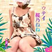ヒメ日記 2026/04/12 09:17 投稿 桜乃ねね コウテイ
