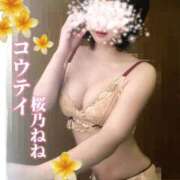 ヒメ日記 2026/06/03 00:29 投稿 桜乃ねね コウテイ