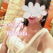 ヒメ日記 2026/06/04 11:45 投稿 桜乃ねね コウテイ
