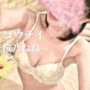 ヒメ日記 2026/06/18 01:55 投稿 桜乃ねね コウテイ