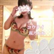 ヒメ日記 2026/06/25 19:15 投稿 桜乃ねね コウテイ