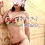 ヒメ日記 2026/06/27 01:05 投稿 桜乃ねね コウテイ