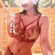 ヒメ日記 2026/07/14 11:28 投稿 桜乃ねね コウテイ