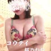 ヒメ日記 2026/07/15 15:05 投稿 桜乃ねね コウテイ