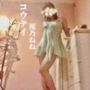 桜乃ねね 10/8 とも様✨♡ コウテイ