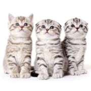 ヒメ日記 2026/02/22 12:50 投稿 まい 愛知三河安城岡崎ちゃんこ