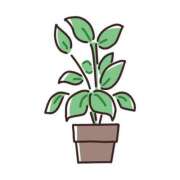 ヒメ日記 2026/03/04 21:50 投稿 まい 愛知三河安城岡崎ちゃんこ