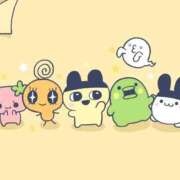 ヒメ日記 2026/03/08 13:50 投稿 まい 愛知三河安城岡崎ちゃんこ