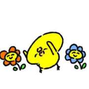 ヒメ日記 2026/04/08 16:10 投稿 まい 愛知三河安城岡崎ちゃんこ