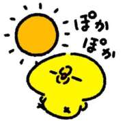 ヒメ日記 2026/08/19 18:20 投稿 まい 愛知三河安城岡崎ちゃんこ