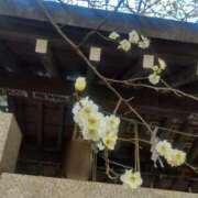 彩葉（いろは） はじめまして。 松戸デリヘル　熟女ヘブン