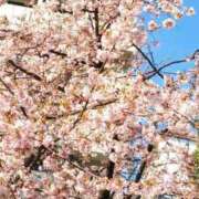 彩葉（いろは） 初めての花園 松戸デリヘル　熟女ヘブン