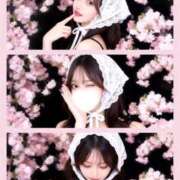 ヒメ日記 2026/03/25 23:32 投稿 こよみ◇最高レベルの港区美女◇ H-ash（アッシュ）