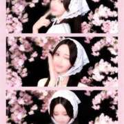 ヒメ日記 2026/07/12 11:52 投稿 こよみ◇最高レベルの港区美女◇ H-ash（アッシュ）