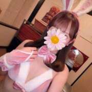 はな 何卒… 恋するバニー