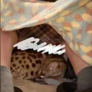 ヒメ日記 2026/06/16 16:18 投稿 はな 恋するバニー