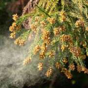 ヒメ日記 2026/03/01 00:26 投稿 小室 熟女待機所 厚木店