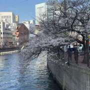 杉咲ちなみ 出勤日 メイドin横浜（横浜ハレ系）