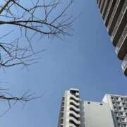 ヒメ日記 2026/03/30 09:48 投稿 一ノ瀬りこ お姉さんLABO -艶-