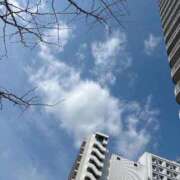 ヒメ日記 2026/04/09 09:55 投稿 一ノ瀬りこ お姉さんLABO -艶-