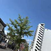 ヒメ日記 2026/05/25 09:53 投稿 一ノ瀬りこ お姉さんLABO -艶-