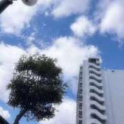 ヒメ日記 2026/06/12 09:48 投稿 一ノ瀬りこ お姉さんLABO -艶-