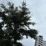 ヒメ日記 2026/06/23 09:47 投稿 一ノ瀬りこ お姉さんLABO -艶-