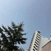 ヒメ日記 2026/09/06 09:38 投稿 一ノ瀬りこ お姉さんLABO -艶-