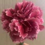 ヒメ日記 2026/02/22 00:42 投稿 地元/りりあ セレブクエスト－Iwaki－