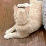 あおい ご心配を??♀? ジュエルズ