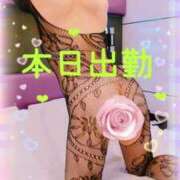 ヒメ日記 2026/03/14 08:01 投稿 佳澄（かすみ） 松戸デリヘル　熟女ヘブン