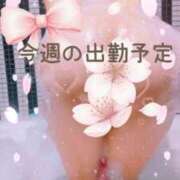 佳澄（かすみ） 🍒今週の出勤予定🍒 松戸デリヘル　熟女ヘブン