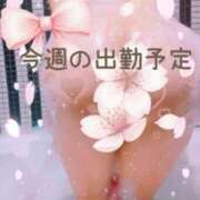 ヒメ日記 2026/04/28 12:51 投稿 佳澄（かすみ） 松戸デリヘル　熟女ヘブン