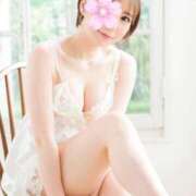 ヒメ日記 2026/03/26 12:20 投稿 ここ Sakura Spa