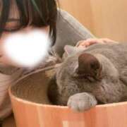 ヒメ日記 2026/04/19 19:00 投稿 あいな☆明日初登校 JKサークル