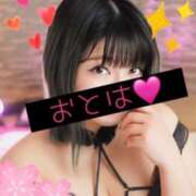 ヒメ日記 2026/03/11 18:54 投稿 【G】おとは ウルトラセレブリティ