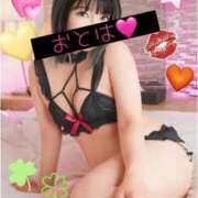 ヒメ日記 2026/03/20 20:24 投稿 【G】おとは ウルトラセレブリティ