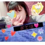 ヒメ日記 2026/03/22 17:54 投稿 【G】おとは ウルトラセレブリティ