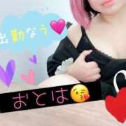 ヒメ日記 2026/05/19 19:44 投稿 【G】おとは ウルトラセレブリティ