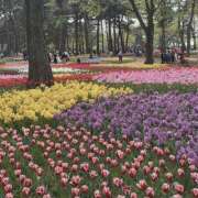 ヒメ日記 2026/03/01 17:05 投稿 Tsukino LUXURY（ラグジュアリー）