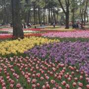 ヒメ日記 2026/03/01 17:51 投稿 Tsukino LUXURY（ラグジュアリー）