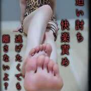 ヒメ日記 2026/07/11 15:01 投稿 筅（ささら）～M性感～ アメイジングビル～道後最大級！遊び方無限大∞ヘルス♪～