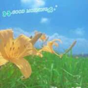 ヒメ日記 2026/03/23 10:13 投稿 かれん奥様 川崎人妻ソープ Mint(ミント)