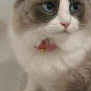 みりあ みりあです！ 横浜泡洗体デラックスエステ