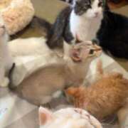 ヒメ日記 2026/03/01 17:54 投稿 朝日奈(あさひな) 人妻城 横浜本店